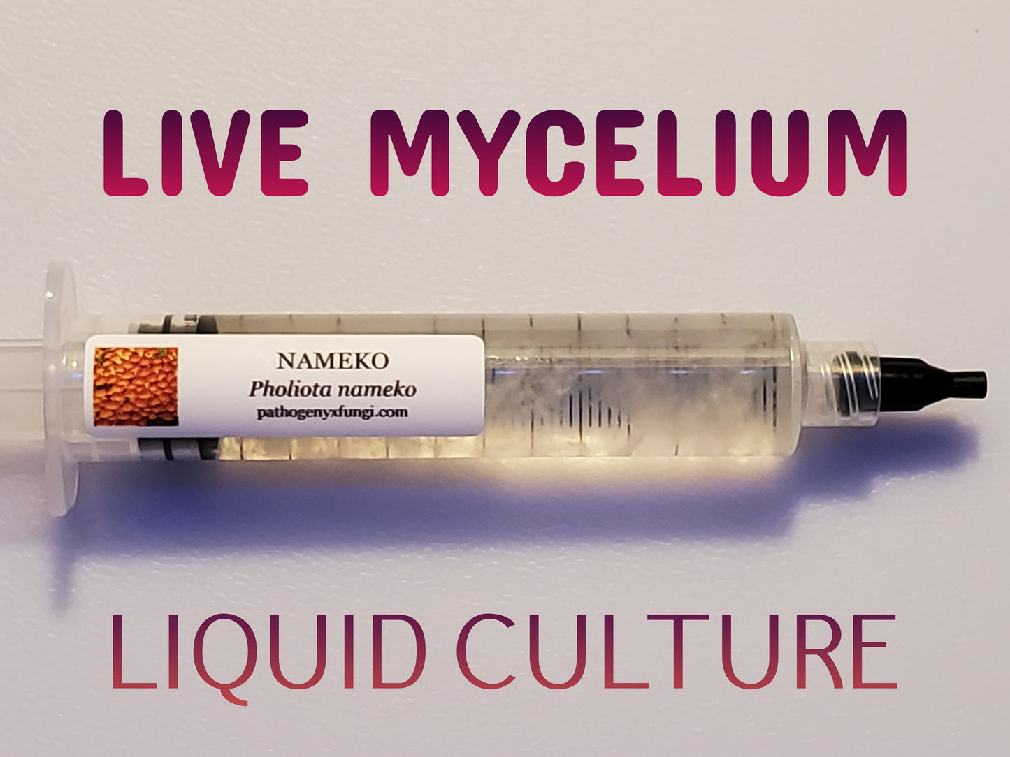 NAMEKO Mushroom, liquid culture syringe, Premium Mycelium™