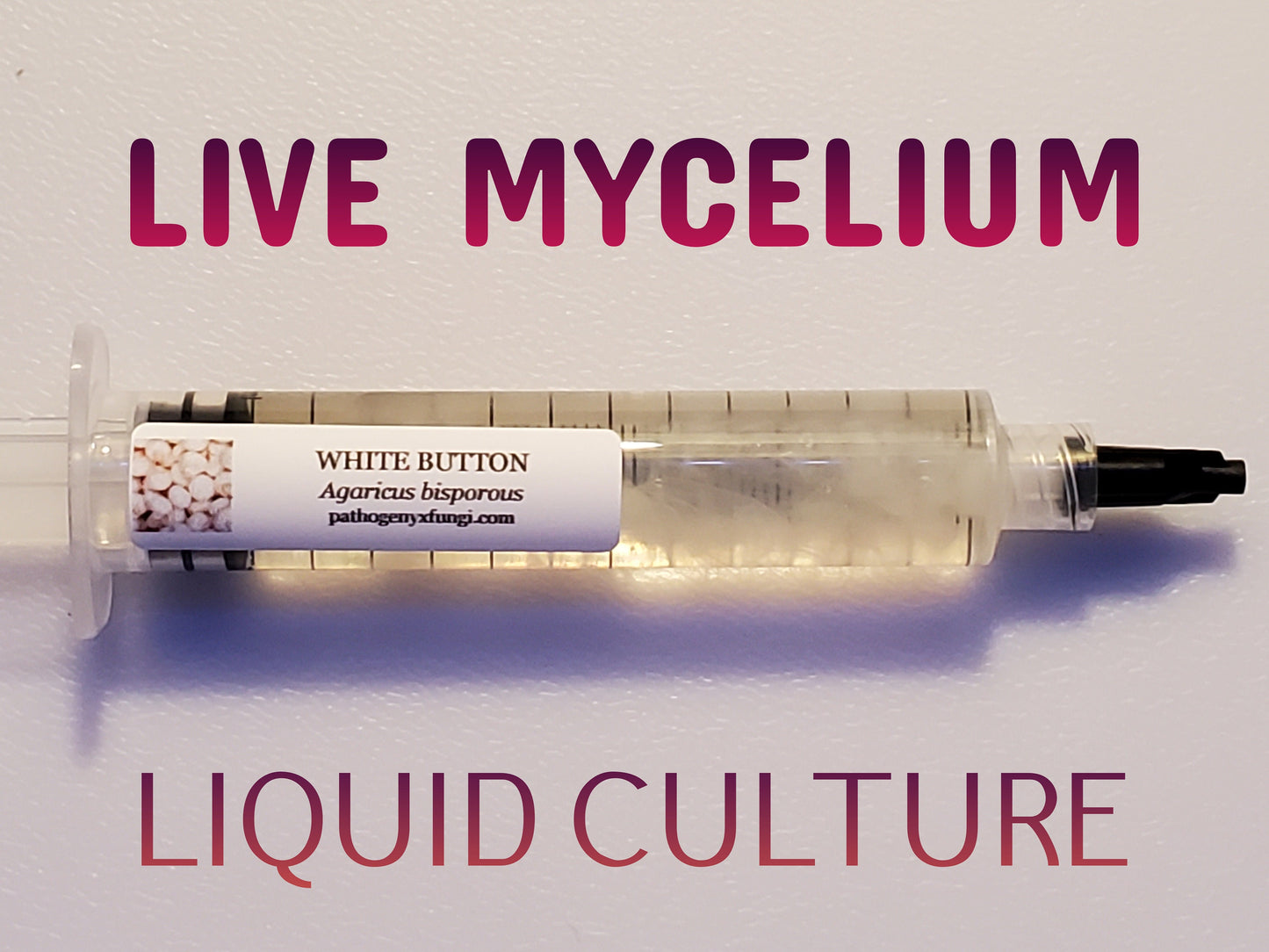 WHITE BUTTON Mushroom, liquid culture syringe, Premium Mycelium™