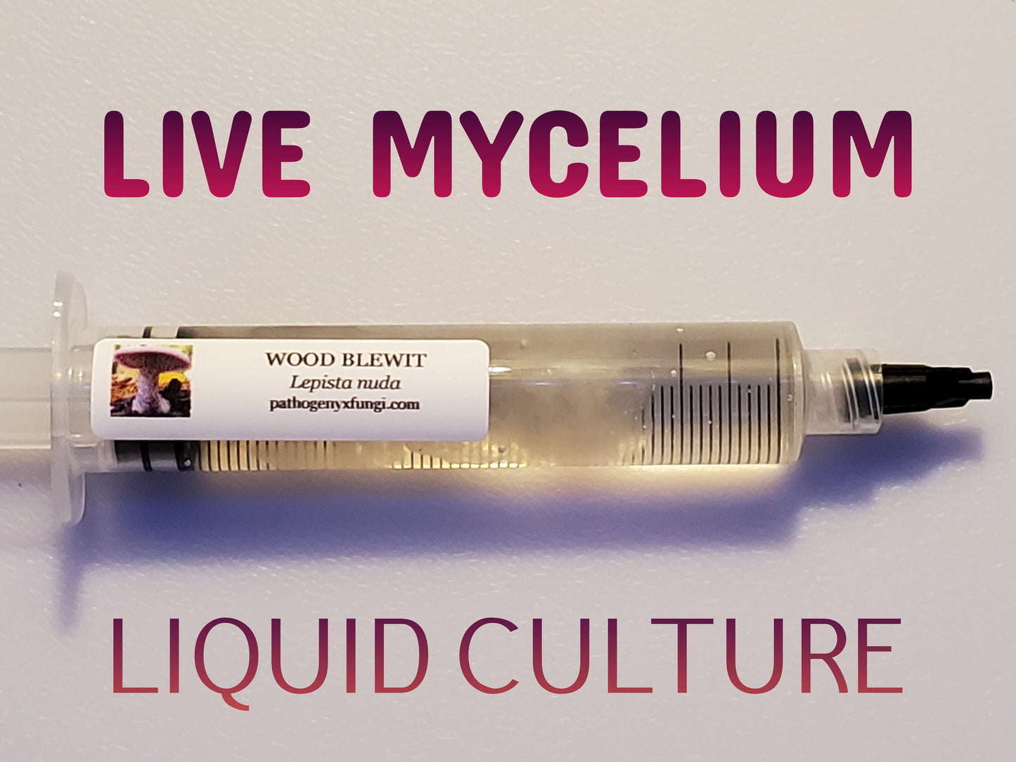 WOOD BLEWIT Mushroom, liquid culture syringe, Premium Mycelium™