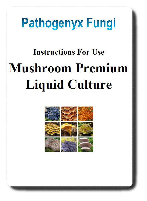 WHITE BUTTON Mushroom, liquid culture syringe, Premium Mycelium™