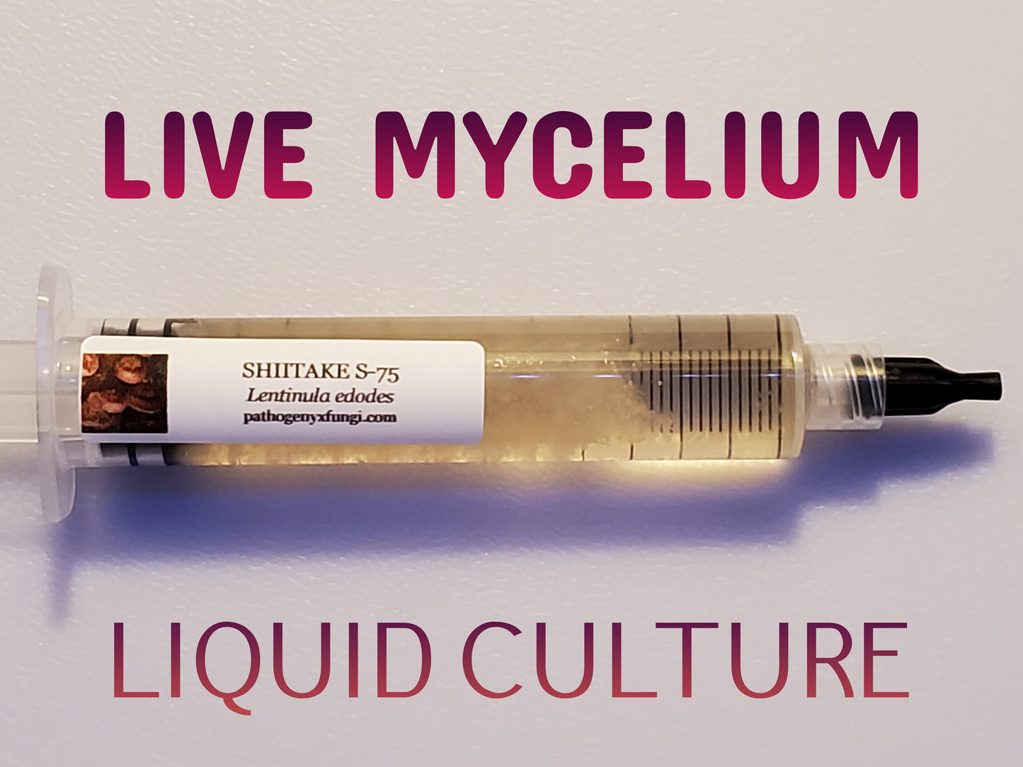 SHIITAKE-S75 Mushroom, liquid culture syringe, Premium Mycelium™