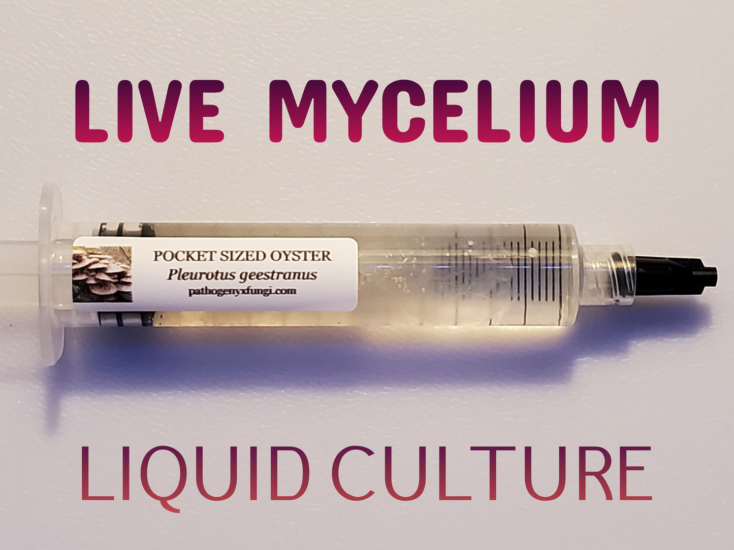 POCKET SIZED OYSTER Mushroom, liquid culture syringe, Premium Mycelium™